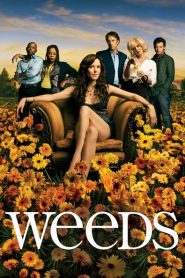 Weeds (Türkçe Dublaj)
