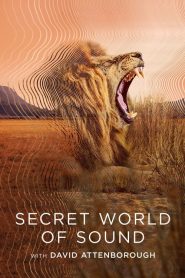 Secret World of Sound (Türkçe Dublaj)