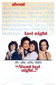 Bir Gecelik Aşk (1986) Türkçe Dublaj izle