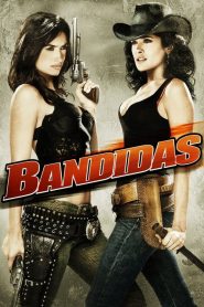 Haydutlar (2006) Türkçe Dublaj izle
